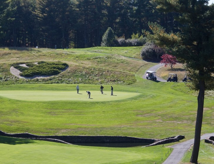 Wide shot of four golfers on a golf course with their golf carts in the background