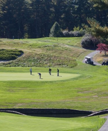 Wide shot of four golfers on a golf course with their golf carts in the background