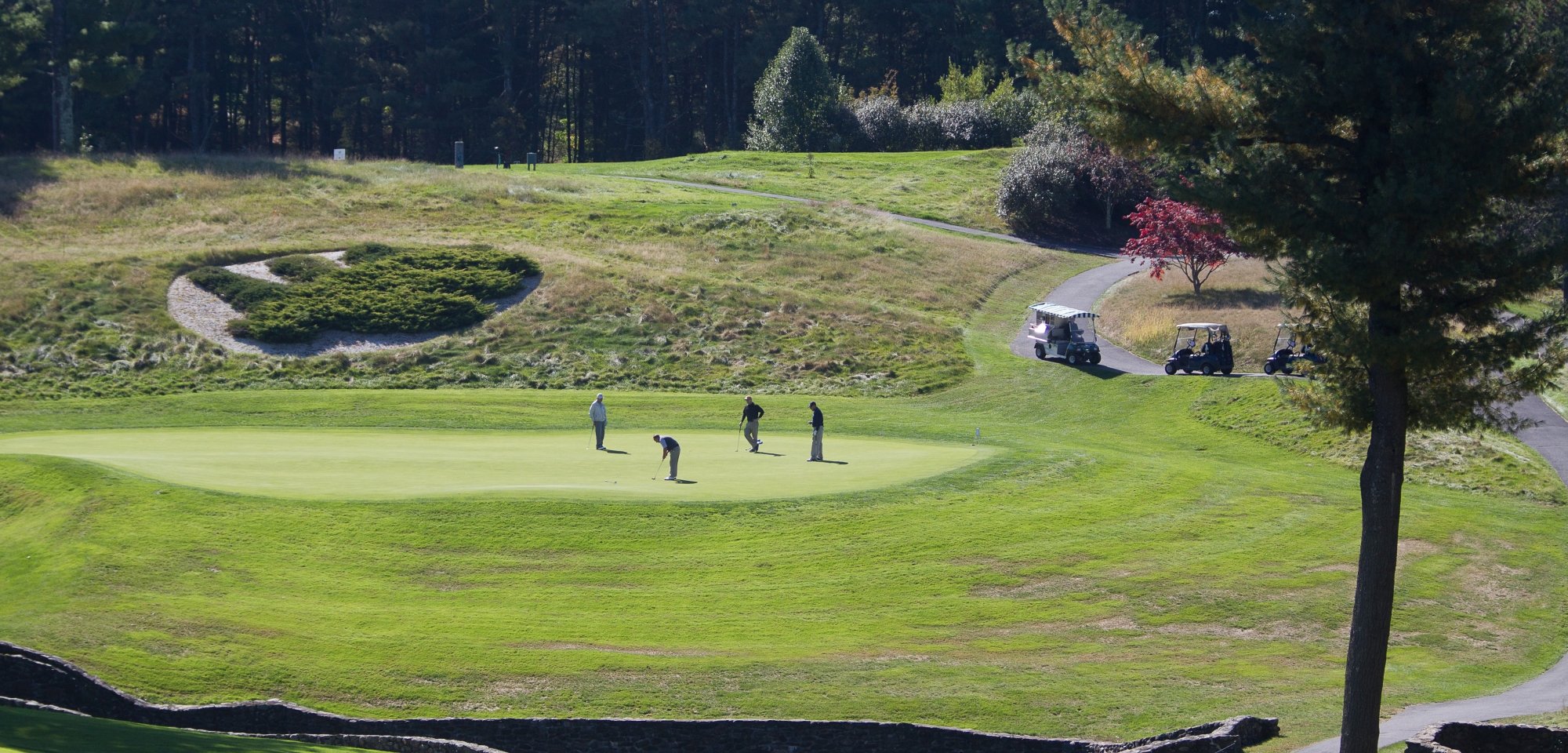 Wide shot of four golfers on a golf course with their golf carts in the background