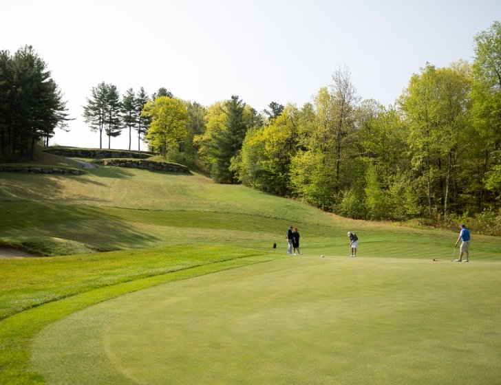 Wide shot of four golfers on the green