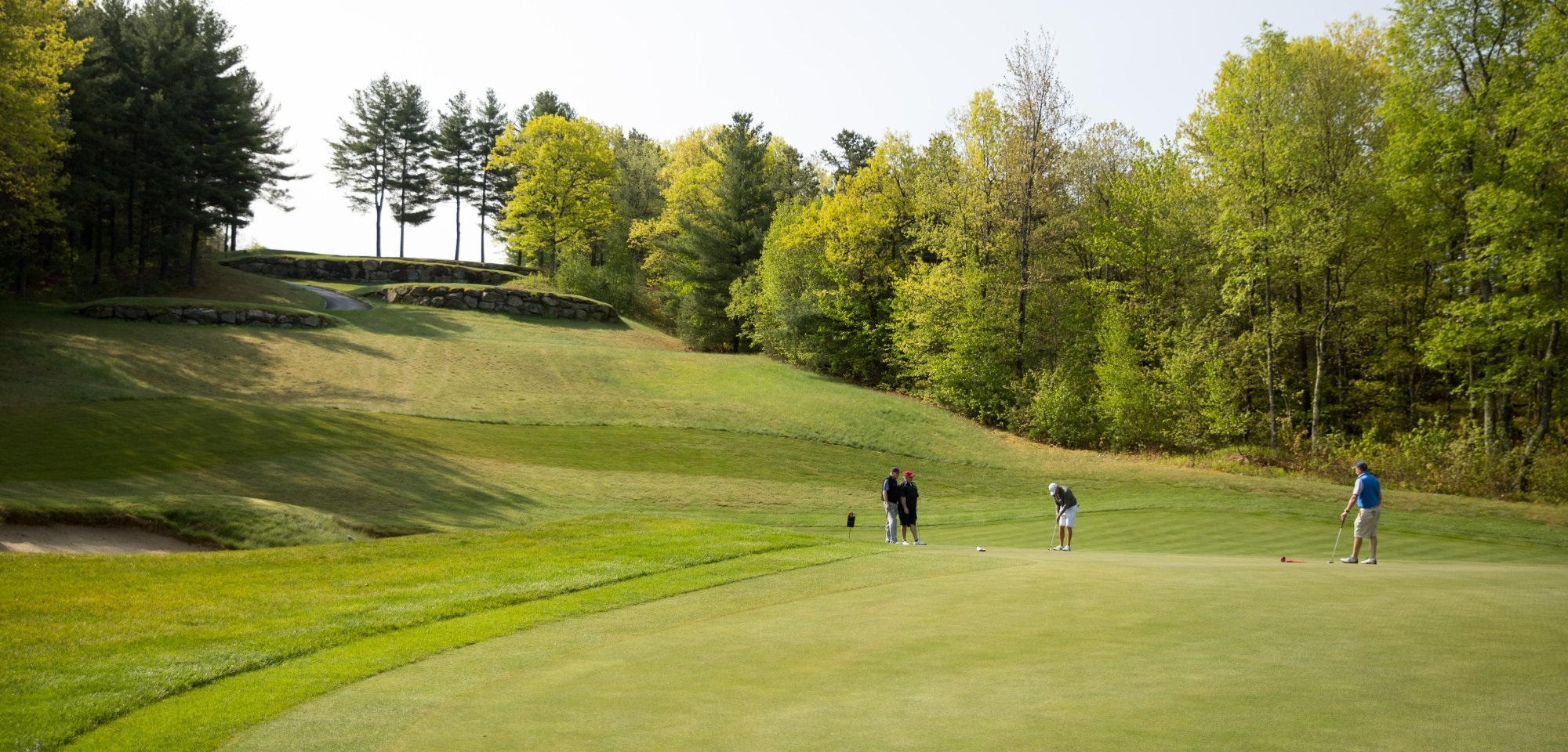 Wide shot of four golfers on the green