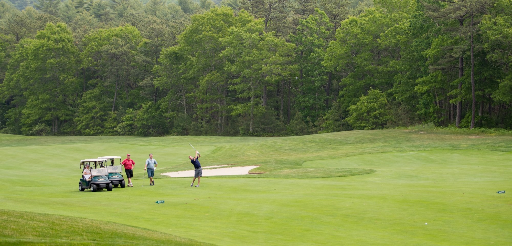 Four golfers on a golf course with two golf carts while one golfer makes a shot