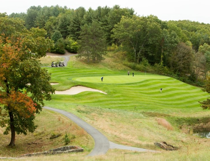 Wide shot of four golfers on a golf course with their two golf carts in the background