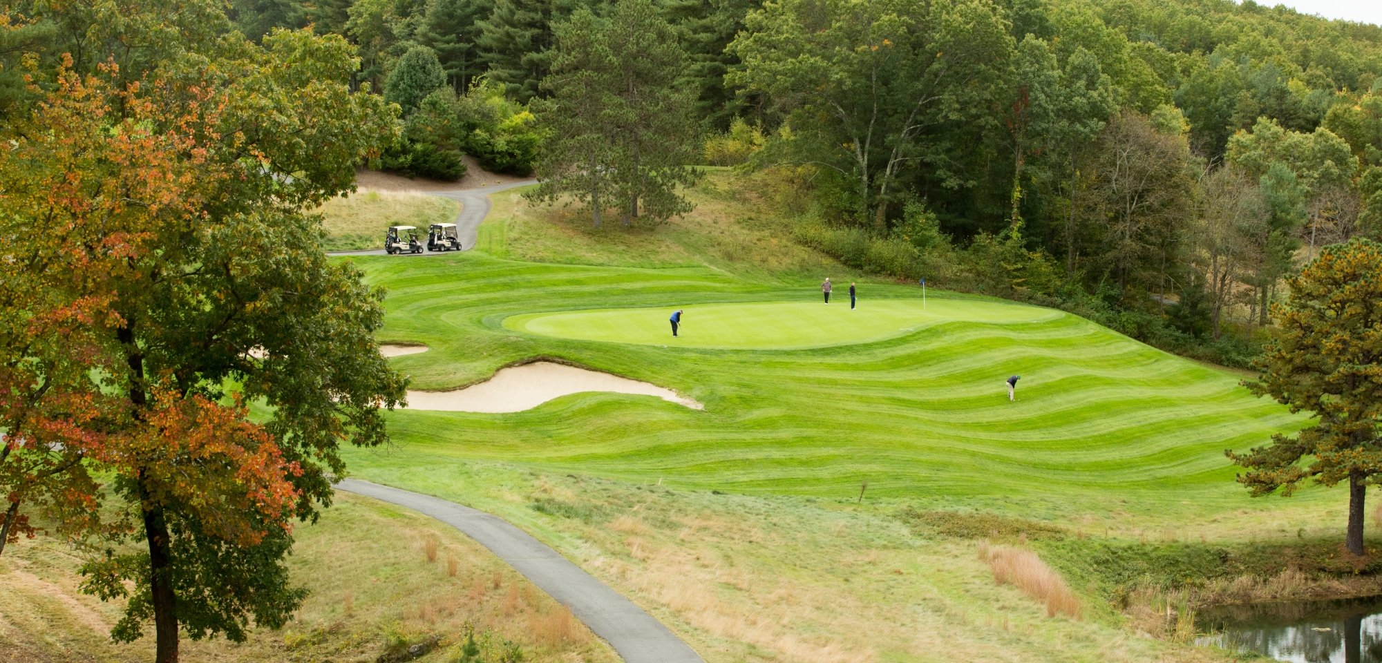 Wide shot of four golfers on a golf course with their two golf carts in the background