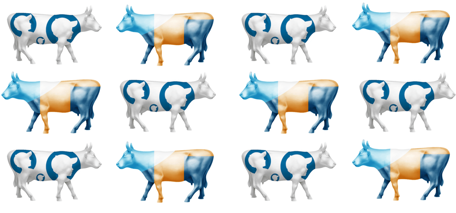 Dana-Farber and Jimmy Fund cows