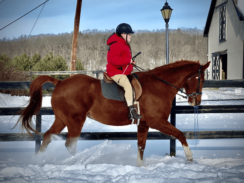 Zach rides a brown horse in the snow